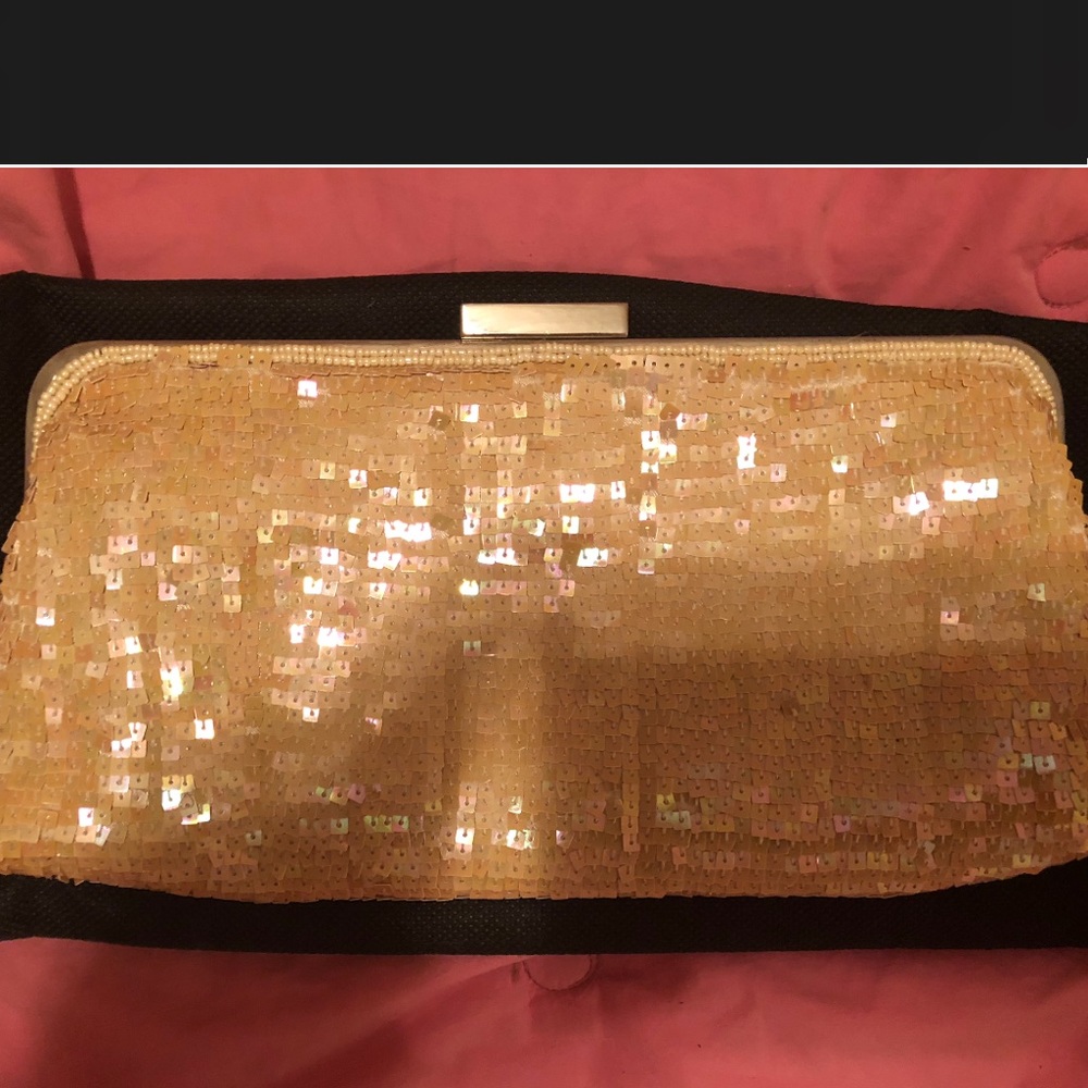 *SOLD** BCBG sequin clutch. Never Used. Comes w/ dust bag